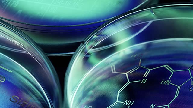 Pfizerâs shot at the obesityâdrug crown: Can it still beat Novo Nordisk?